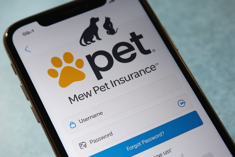 How to Log In to Spot Pet Insurance Member Portal